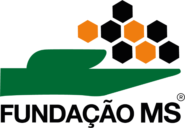 Fundação MS