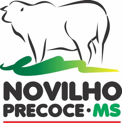 Novilho Precoce MS